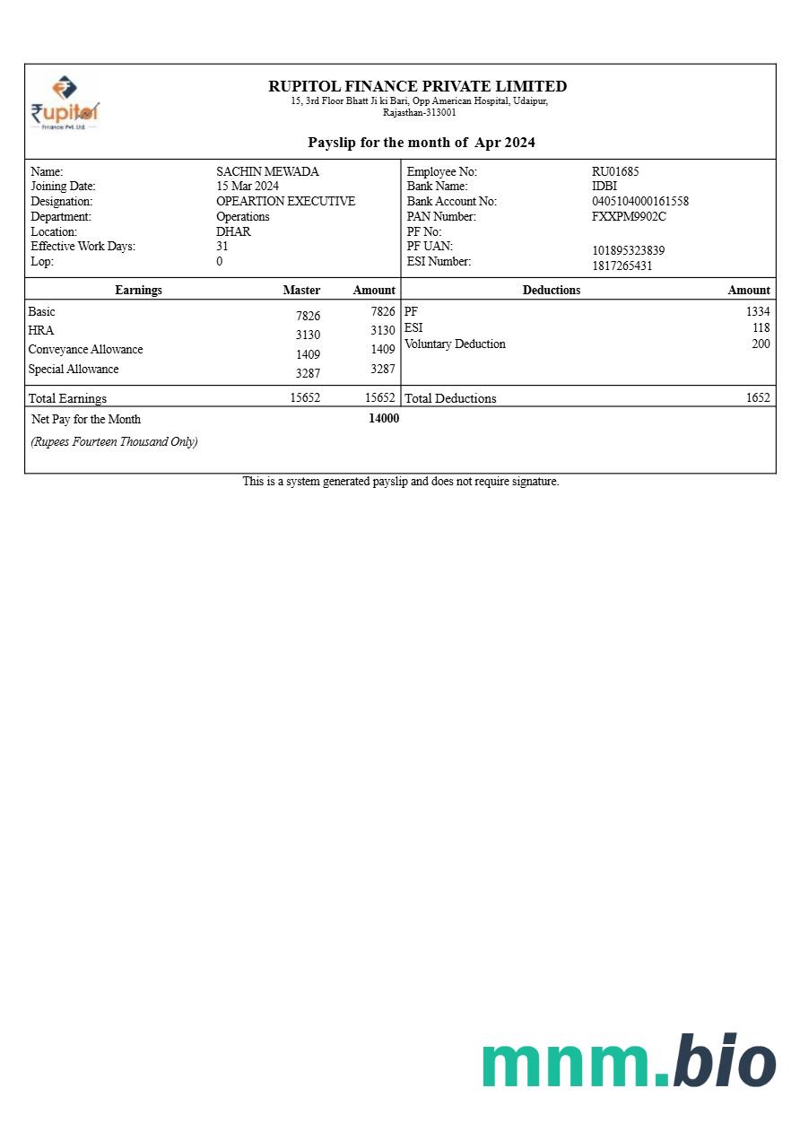 Rupitol Finance payslip template w formatach Word i PDF